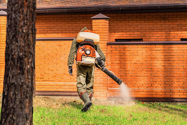 Trusted Ant Control service in Charlotte Park, FL - Nex Pest Control